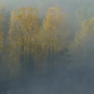 Des souvenirs et de la mémoire…